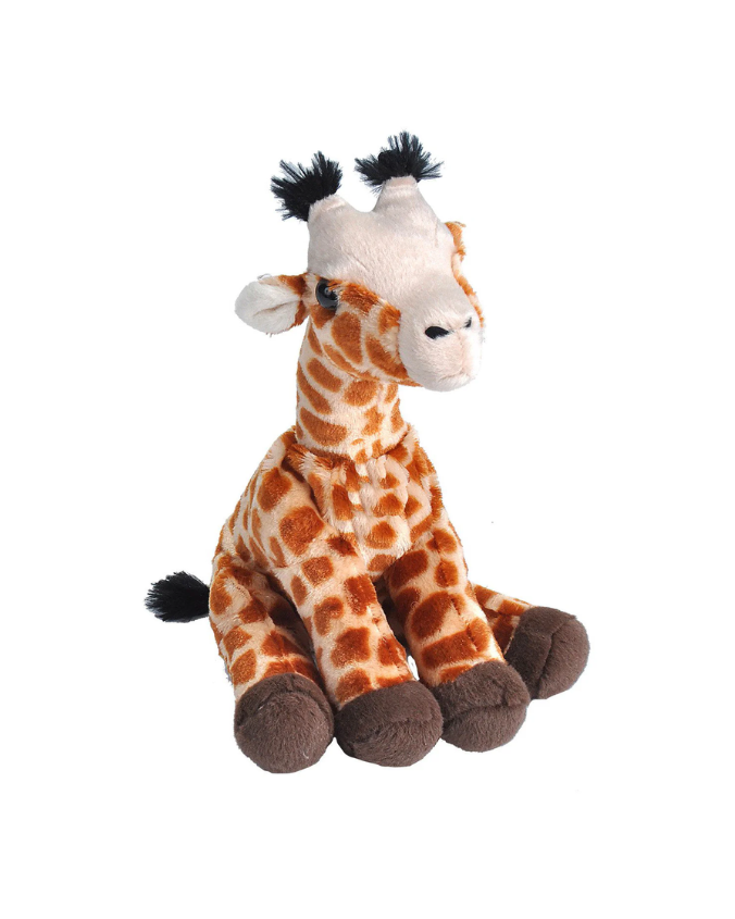 CRBabyGiraffe