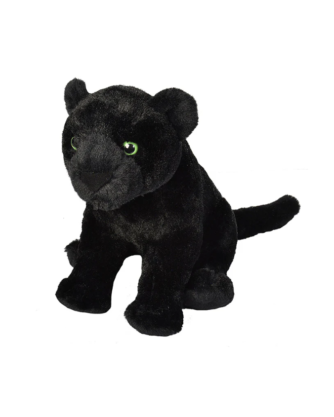 CRBlackJaguar