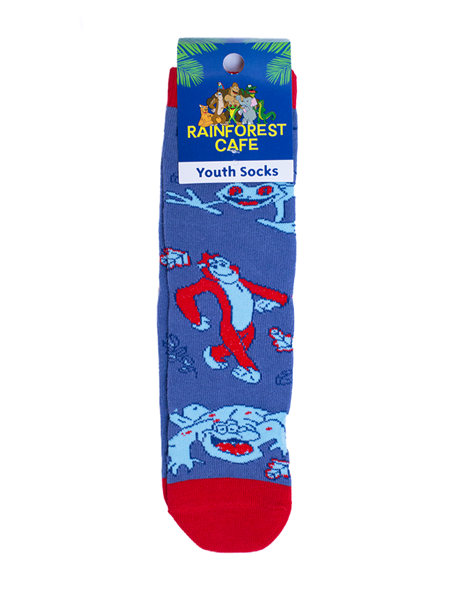 RFC-Boys-youth-socks