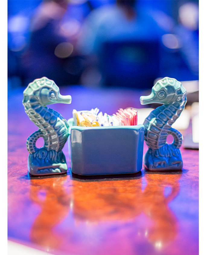 aq-salt-shakers-lifestyle