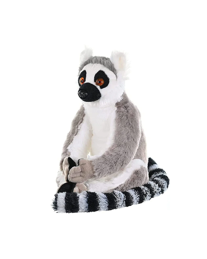 ringtailedlemur_9b1b3253-07d8-4108-b614-d0fbcecd456b